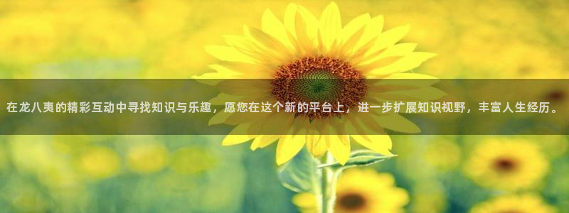 彩虹多多专享