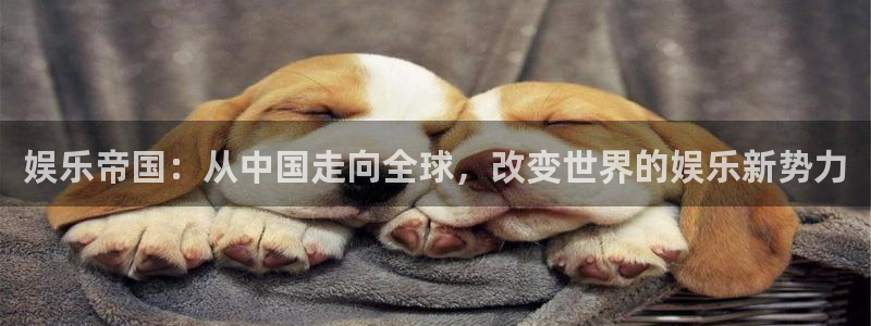 彩虹多多为什么下载不了
