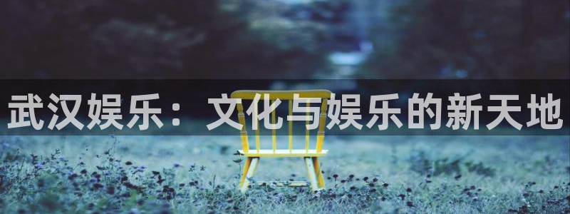 彩虹多多最新安卓手机版