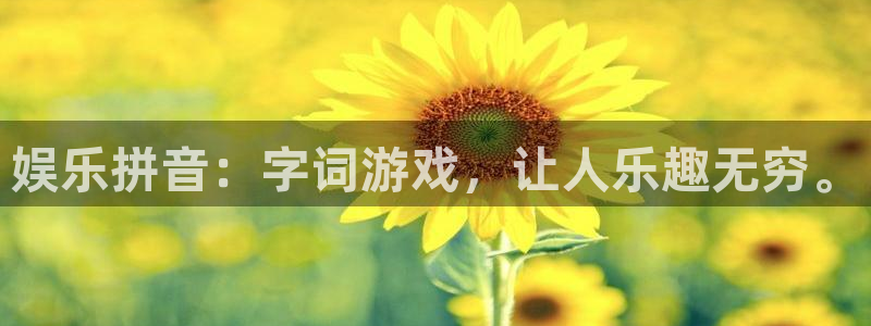 彩虹多多历史版本大全