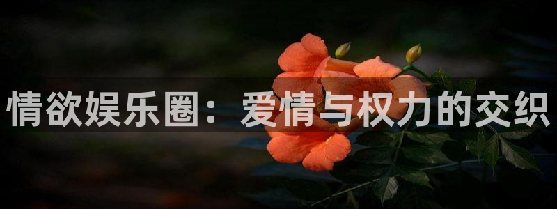 彩虹多多专项版官方免费下载