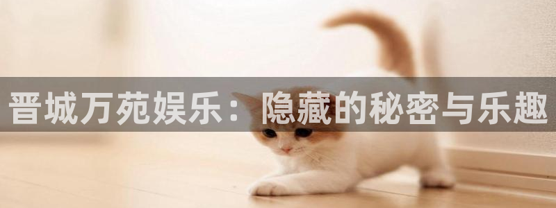 彩虹多多软件怎么下载
