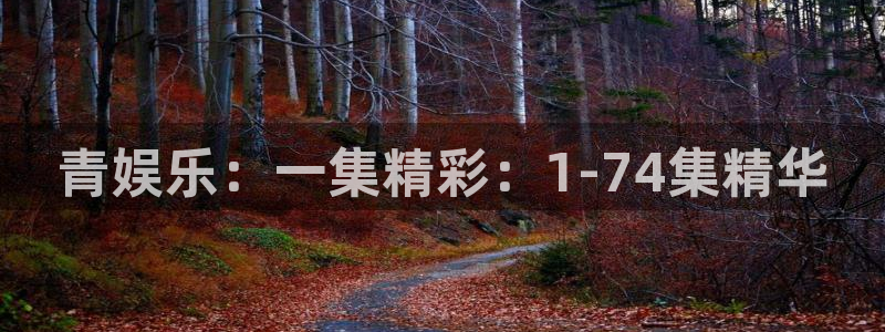 彩虹多多app在哪下