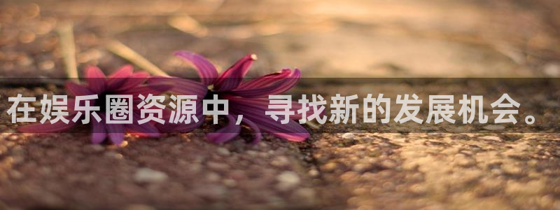 彩虹多多的