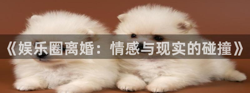 彩虹多多安卓版下载