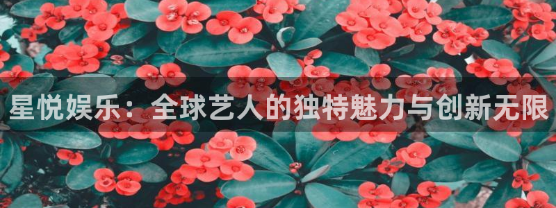 彩虹彩虹多多专家推荐