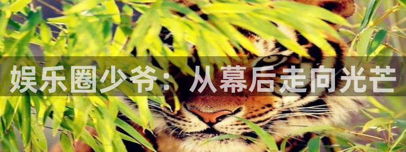 彩虹多多下载