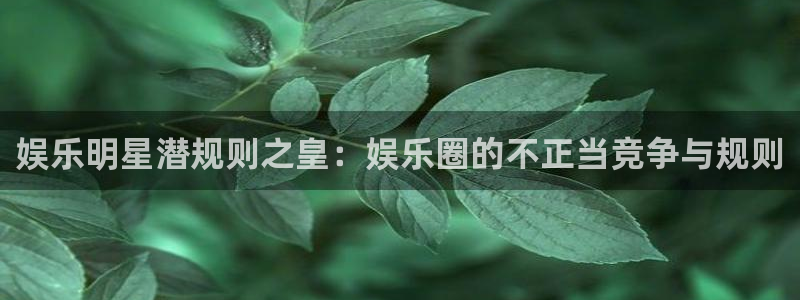 彩虹多多和一定牛那个好