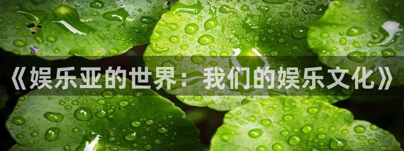 彩虹多多ios版怎么下载