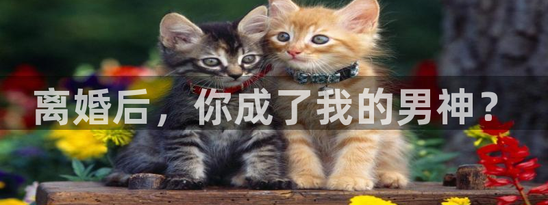 电脑版彩虹多多