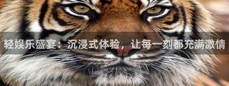 彩虹多多官网下载