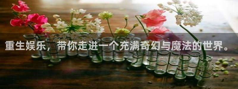 彩虹多多免费下载：重生娱乐，带你走进一个充满奇幻与魔法的世界。