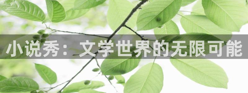 彩虹多多专家版app下载：小说秀：文学世界的无限可能