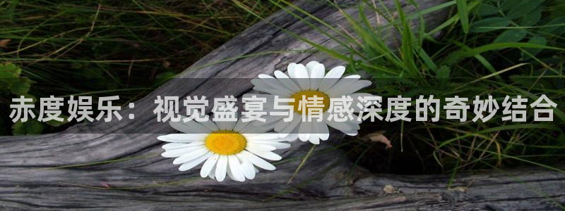 彩虹多多苹果版下载不了：赤度娱乐：视觉盛宴与情感深度的奇妙结合