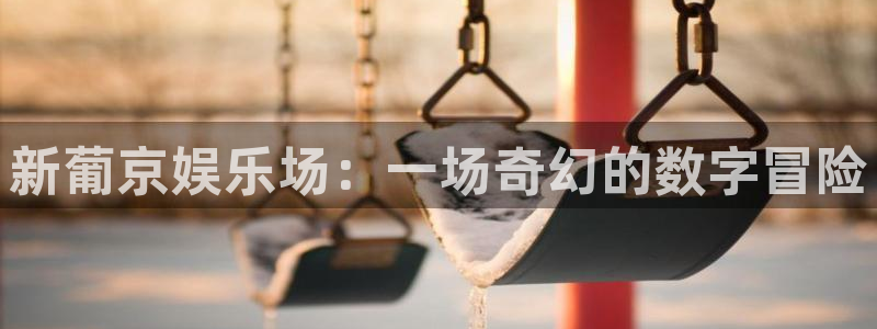 彩虹多多的：新葡京娱乐场：一场奇幻的数字冒险