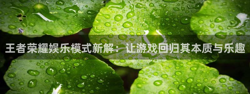 彩虹多多专享版：王者荣耀娱乐模式新解：让游戏回归其本质与乐趣