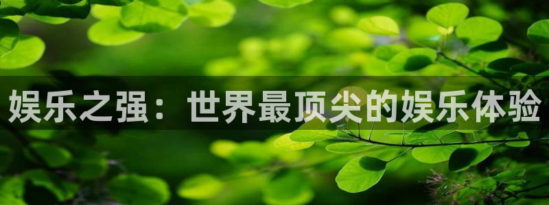 彩虹多多苹果版怎么安装：娱乐之强：世界最顶尖的娱乐体验