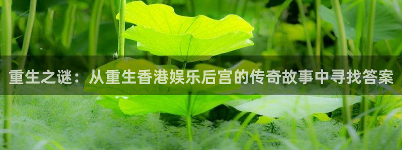 彩虹多多打不开原因：重生之谜：从重生香港娱乐后宫的传奇故事中寻找答案