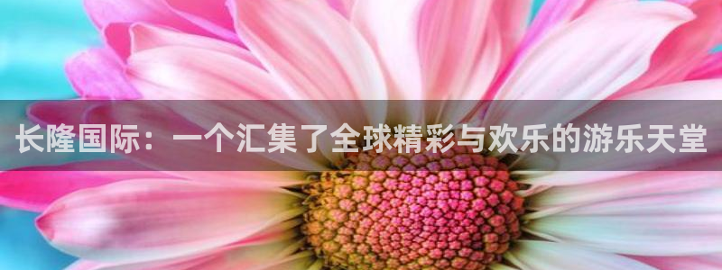 彩虹多多手机网页版：长隆国际：一个汇集了全球精彩与欢乐的游乐天堂