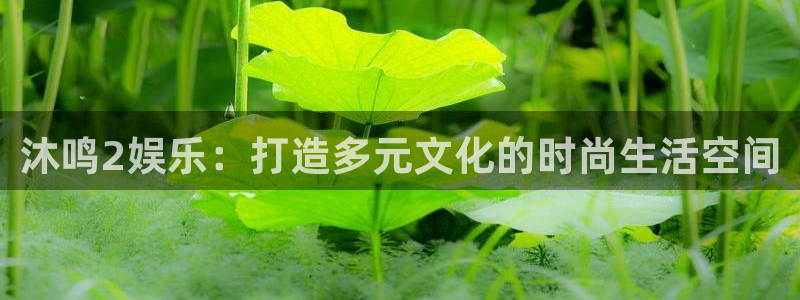 彩虹多多版本大全：沐鸣2娱乐：打造多元文化的时尚生活空间