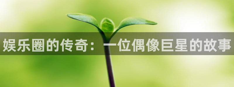 彩虹多多.：娱乐圈的传奇：一位偶像巨星的故事