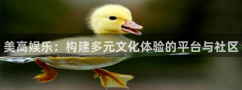彩虹多多手机版免费下载：美高娱乐：构建多元文化体验的平台与社区