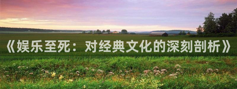3d开奖结果彩虹多多：《娱乐至死：对经典文化的深刻剖析》
