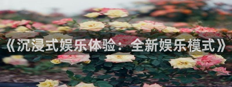 怎么删除彩虹多多：《沉浸式娱乐体验：全新娱乐模式》