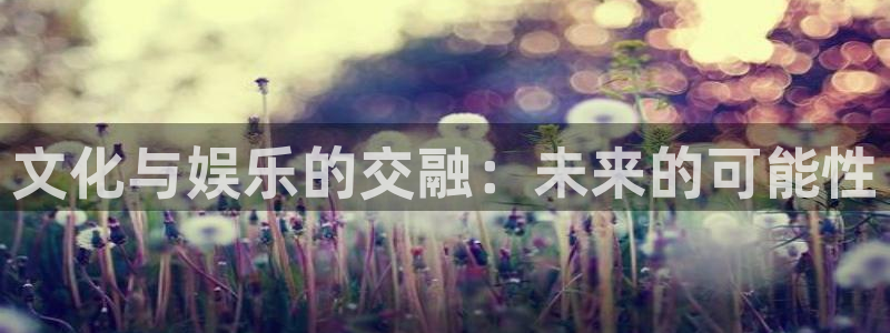彩虹多多电脑版怎么下载：文化与娱乐的交融：未来的可能性