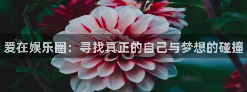 彩虹多多698免费版：爱在娱乐圈：寻找真正的自己与梦想的碰撞